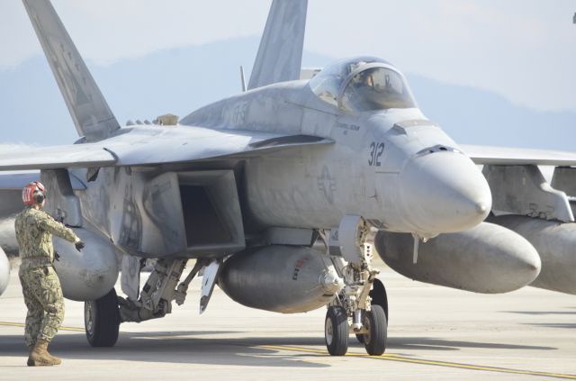 McDonnell Douglas FA-18 Hornet —