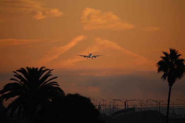Airbus A350-1000 (A7-ANJ)
