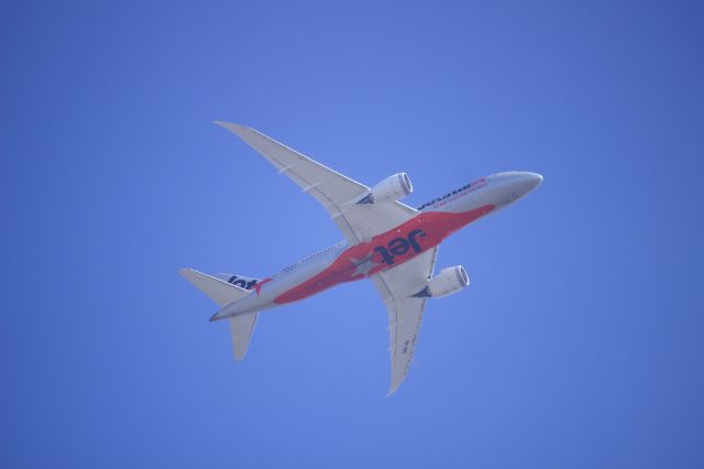 VH-HKE — - I really love the 787 livery!!