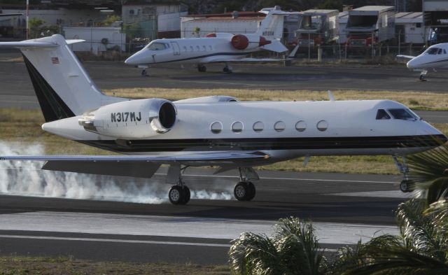 Gulfstream Aerospace Gulfstream IV (N317MJ)