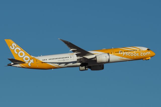 Boeing 787-8 (9V-OJJ) - Boeing 787-9 cn 37131 ln 849. Scoot 9V-OJJ Holiyear YPPH 04 March 2022