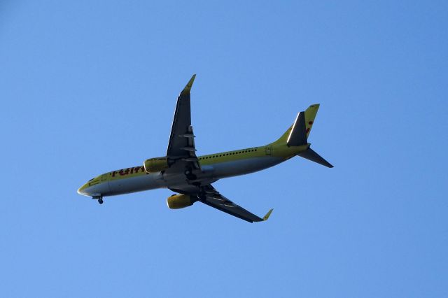 Boeing 737-800 (D-AHFH)