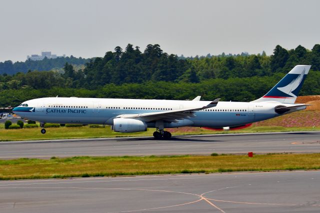 Airbus A330-300 (B-HLN)