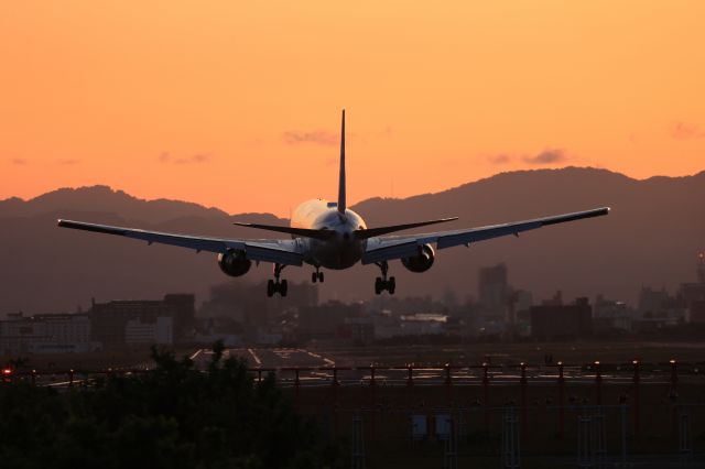 BOEING 767-300 (JA615A) - May 24, 2023:HND-HKD.