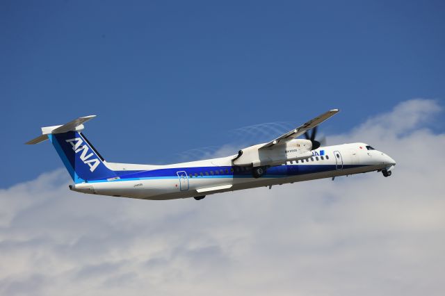 de Havilland Dash 8-400 (JA859A) - August 20, 2023:HKD-CTS.