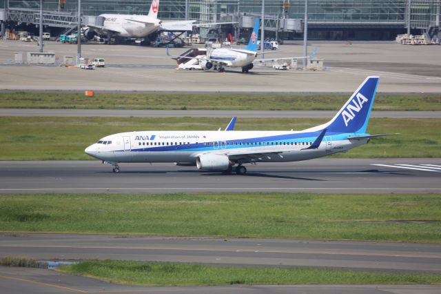 Boeing 737-800 (JA53AN)
