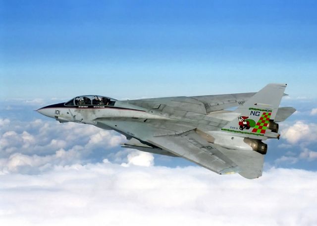 Grumman F-14 Tomcat —