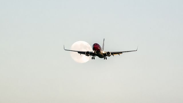 Boeing 737-800 (LN-NIE)