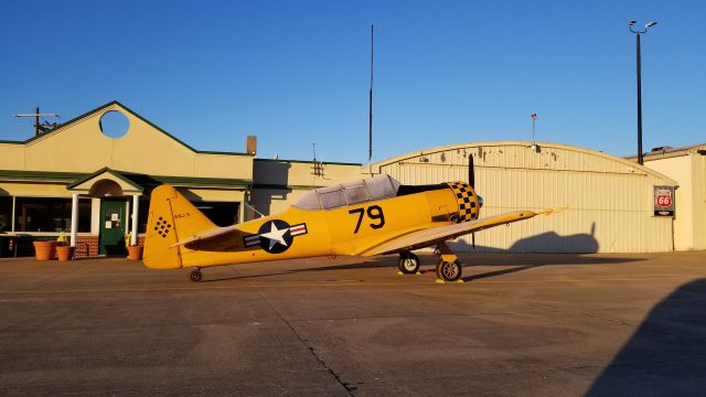 North American T-6 Texan (N51979)