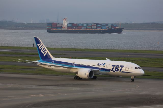 Boeing 787-8 (JA810A)