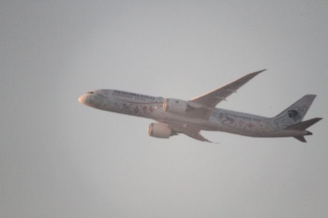 Boeing 787-9 Dreamliner (XA-ADL) - DEPARTURE FROM 27 MMTJ