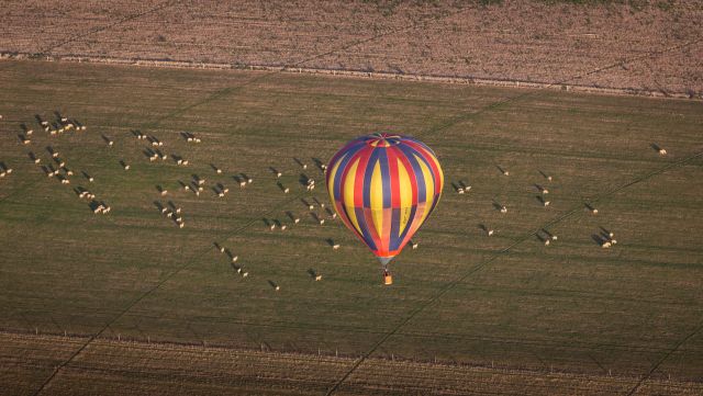 Unknown/Generic Balloon (ZK-LAR) - Over Canterbury, NZ