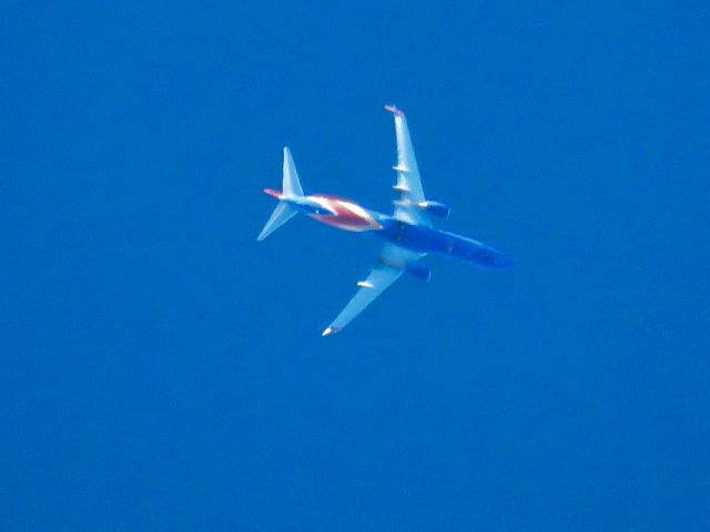 Boeing 737-800 (N8572X)