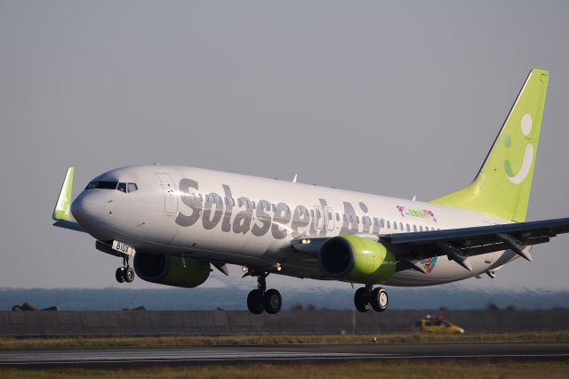 Boeing 737-800 (JA810X)