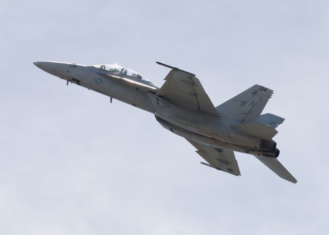 McDonnell Douglas FA-18 Hornet —