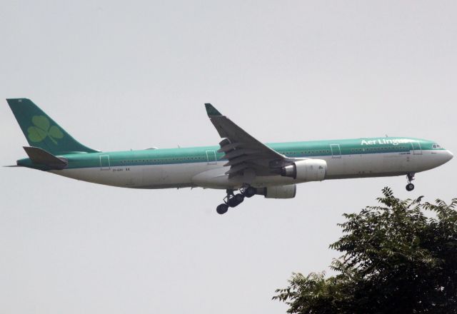 Airbus A330-300 (EI-EAV) - Taken 8-8-2013