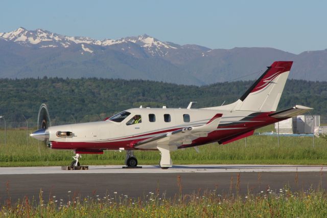 Daher-Socata TBM-900 (VH-LZJ) - Final checks compass rose