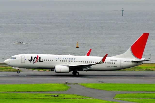 Boeing 737-800 (JA325J) - 2014