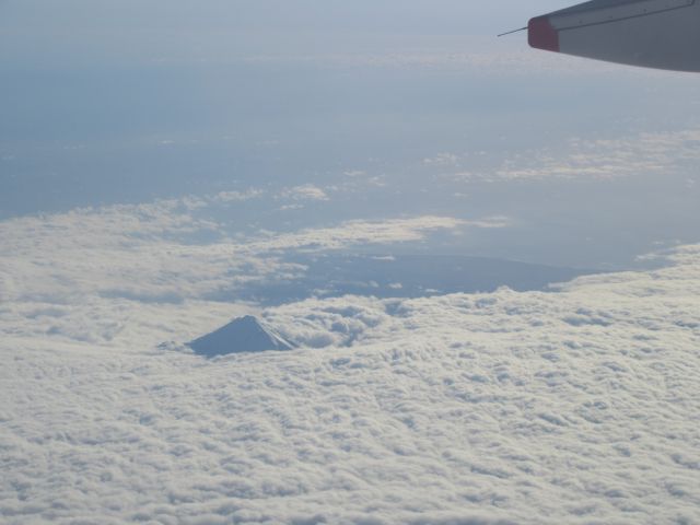 Airbus A320 (ANZ818)