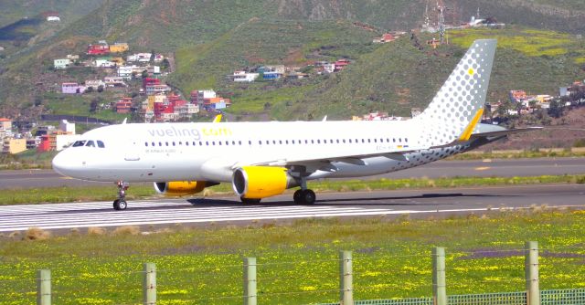 Airbus A320 (EC-LVU)