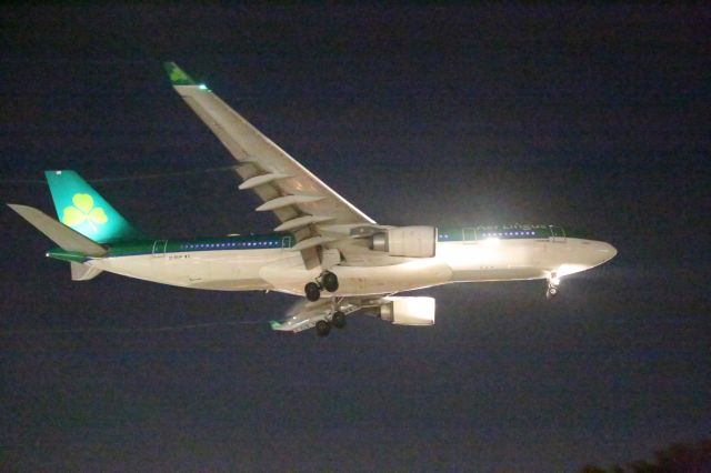 Airbus A330-200 (EI-DUO)