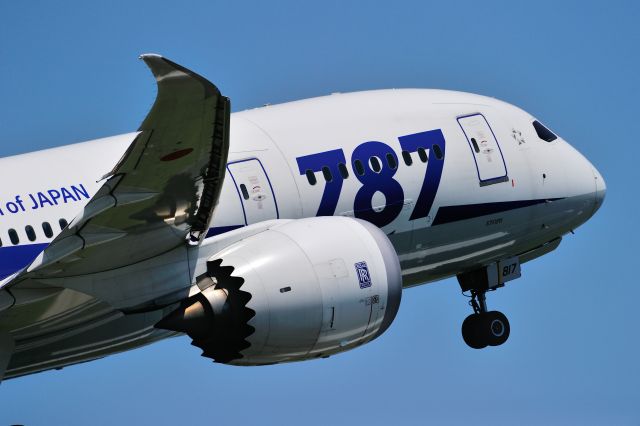 Boeing 787-8 (JA817A)