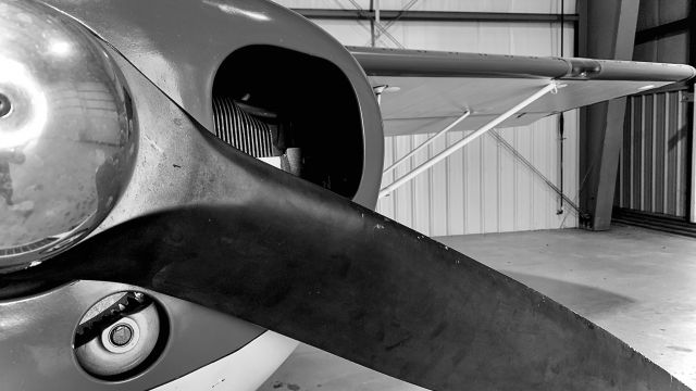 Piper L-21 Super Cub (N3157M)