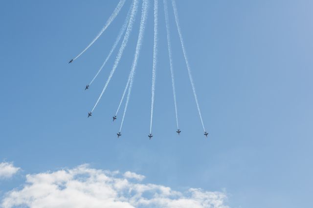 DASSAULT-BREGUET/DORNIER Alpha Jet —