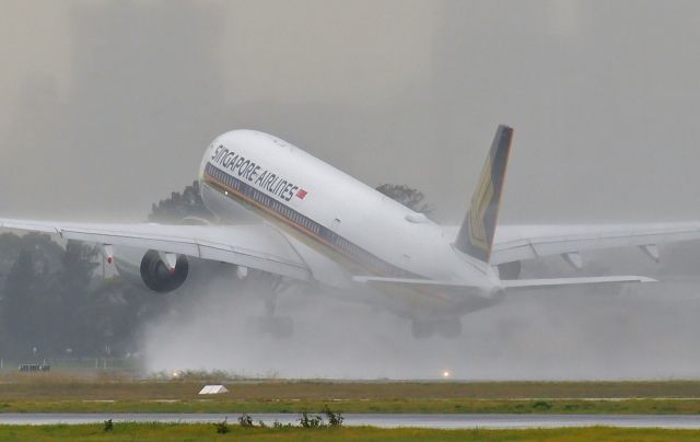 Airbus A350-900 (9V-SHH) - Adelaide, South Australia, June 24, 2020.