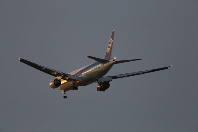 Boeing 777-200 (JA716A)