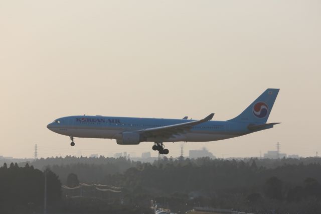 Airbus A330-200 (HL8228)