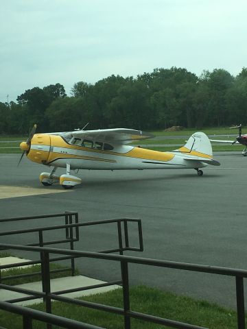 Cessna 190 (N4310V)