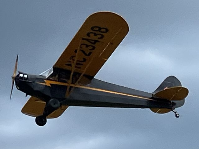 Piper NE Cub (N23438)