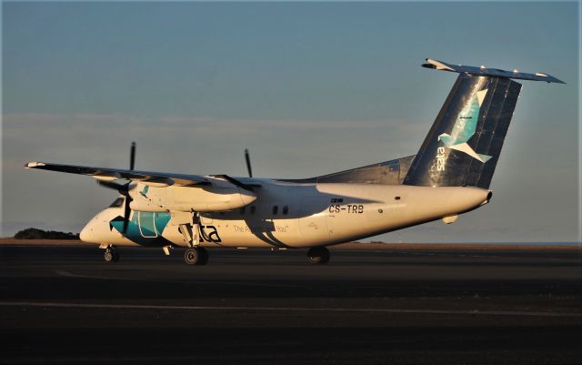 de Havilland Dash 8-200 (CS-TRB) - Santa Maria island International Airport - LPAZ - Azores. June 10, 2021