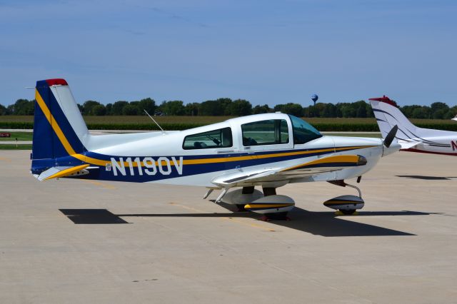 Grumman AA-5 Tiger (N1190V) - Saturday Airplane spotting