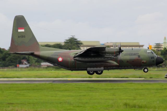 Lockheed C-130 Hercules (A1315)