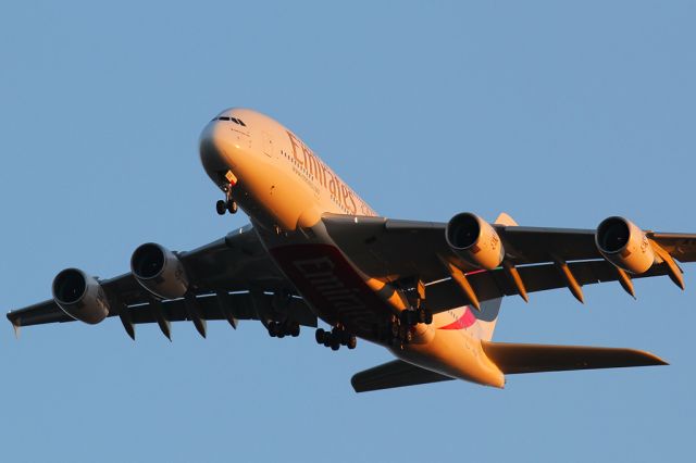 Airbus A380-800 (A6-EDZ)