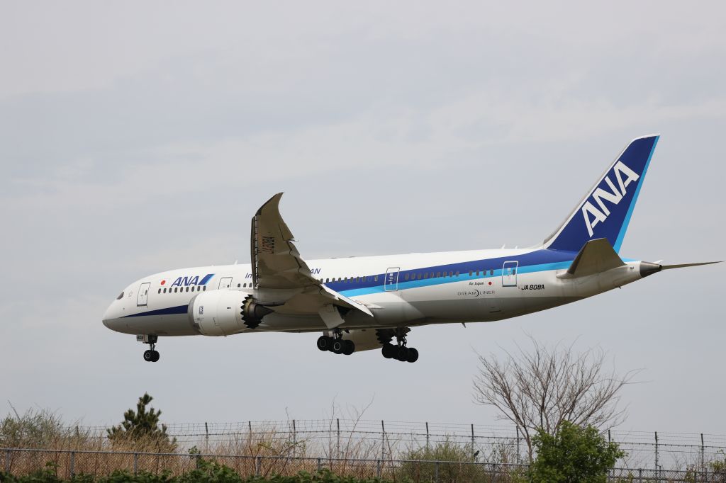 Boeing 787-8 (JA808A) - May 11, 2024:HND-HKD.
