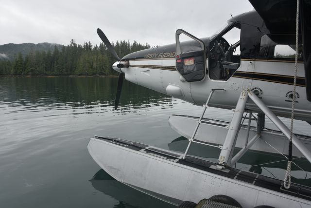 VARDAX Vazar Dash 3 (N6868B) - Taken 12 Jul 2024