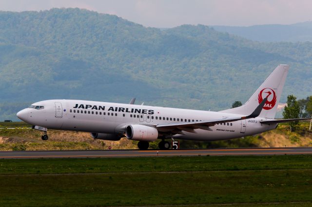 Boeing 737-800 (JA307J)