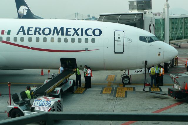 Boeing 737-800 (XA-ZAM)