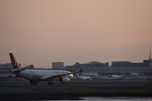 Airbus A330-300 (TC-JNR)