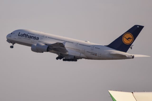 Airbus A380-800 (D-AIMM)