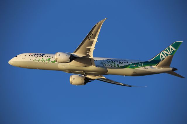 Boeing 787-9 Dreamliner (JA871A)