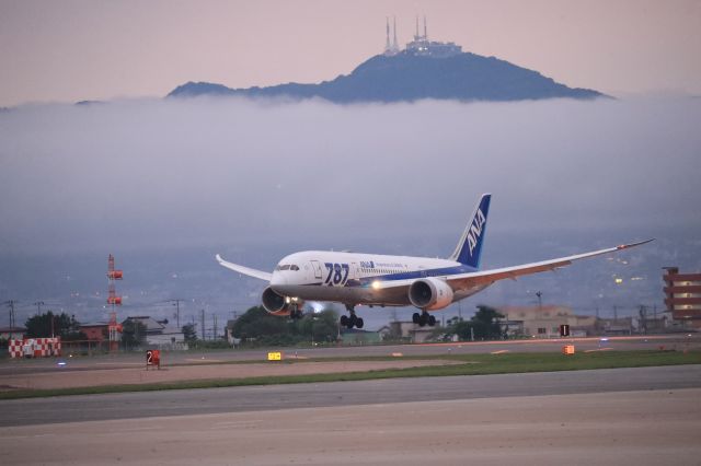 Boeing 787-8 (JA817A) - July 18th 2019:HND-HKD.