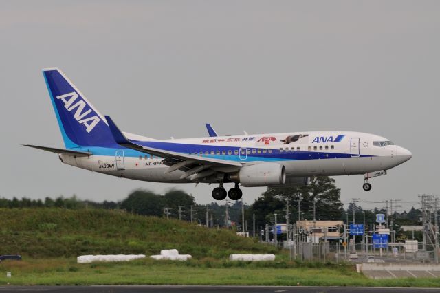 Boeing 737-700 (JA09AN) - 2011/9/10