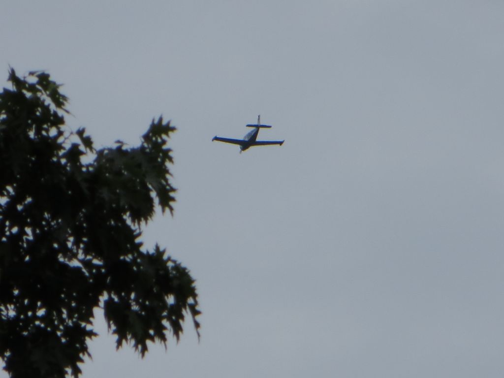 Beechcraft Bonanza (36) (N335R)