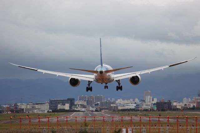 Boeing 787-8 (JA832A) - October 19, 2024:HND-HKD.