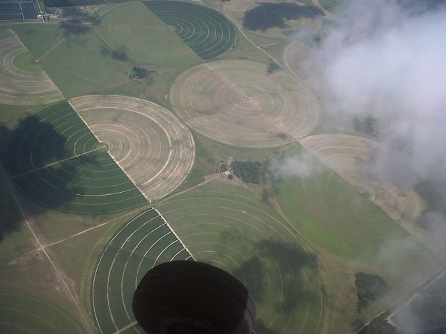 Cessna Skyhawk (N441ER) - FIELDS OUTSIDE OF PALATKA FLORIDA.