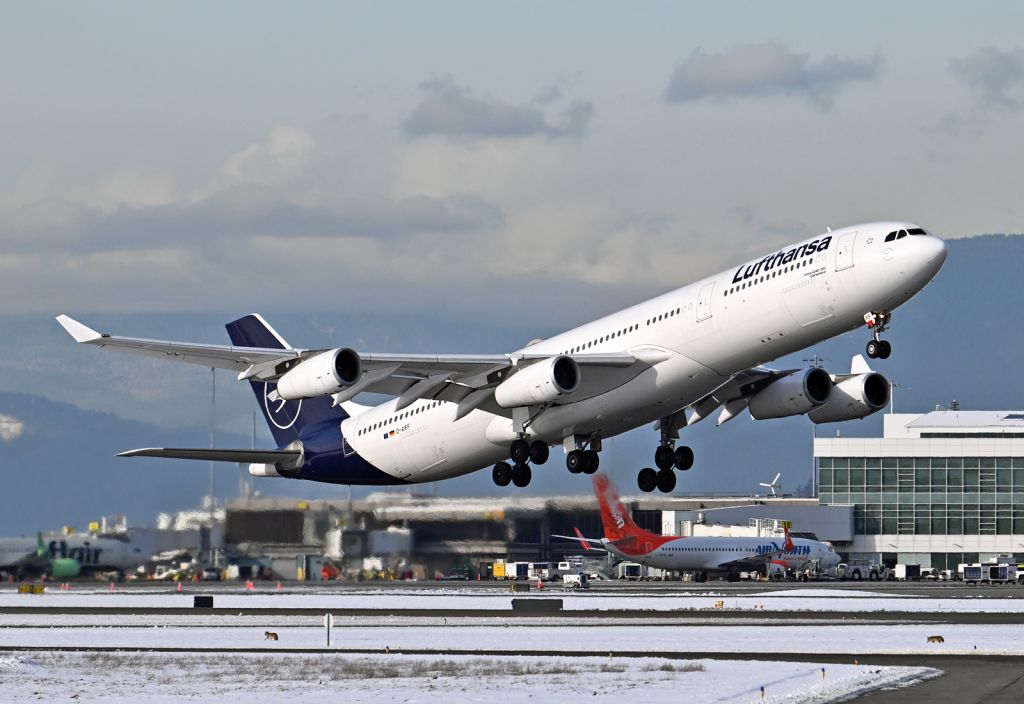 Airbus A340-300 (D-AIFF)